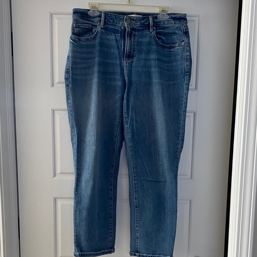 LOFT Classic Blue Jeans